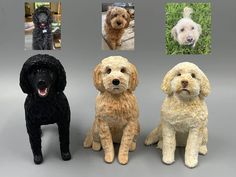 three different types of dogs sitting next to each other in front of a gray background