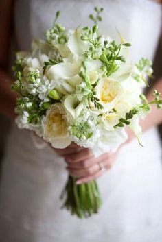 a bride holding a bouquet of white flowers