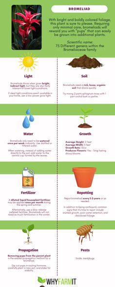 the different types of plants and their uses