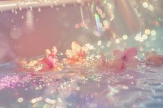 pink flowers floating in water with bubbles on the surface and rainbow colored lights behind them