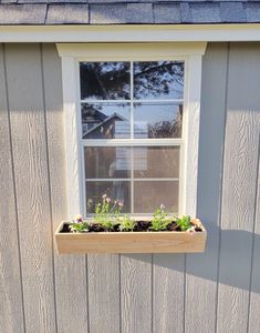 a window box with flowers in it on the side of a house