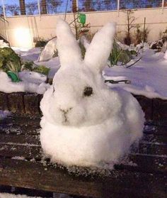 a snow covered bunny sitting on top of a wooden bench