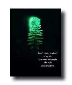 a green christmas tree with the words i don't mean enough in my life