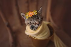 a small kitten wearing a yellow flower headband on top of a brown cup with its eyes closed