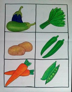 the four pictures show different vegetables and their names in each square, including carrots, peas, squash, cucumbers, and snap peas