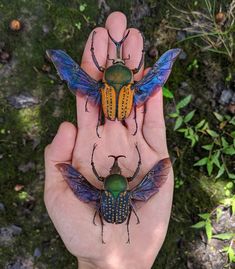 three colorful bugs sitting on top of each other in someone's hand next to some plants