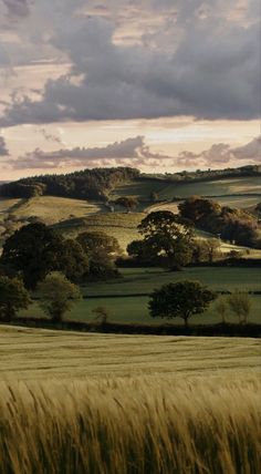 the rolling hills are covered with trees and grass