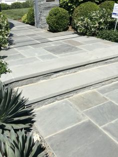 an outdoor walkway with stone steps and plants