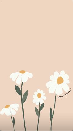 some daisies are in the middle of a pink background