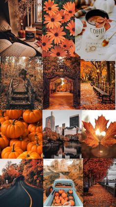 a collage of photos with oranges and leaves on the ground, coffee cup in front of them