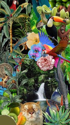 a collage of tropical birds, flowers, and other things in the background with an animal's face surrounded by foliage