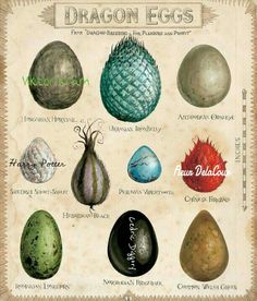 an old poster with different types of eggs on it's sides and the words dragon eggs above them