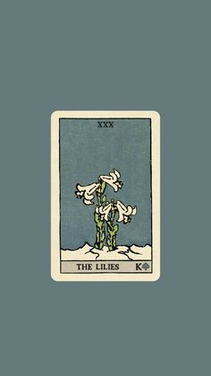 a tarot card with an image of two birds flying over the top of it