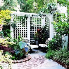 a patio with chairs and plants surrounding it