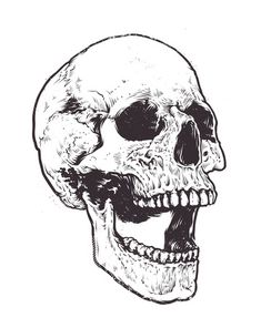 a human skull is shown in black and white