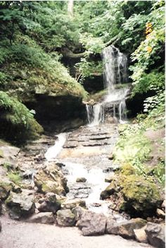 there is a small waterfall in the woods