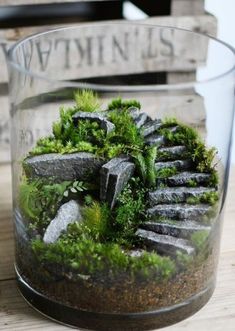 a glass vase filled with moss and rocks