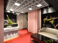 a room with red carpet and black walls, white couches and plants on the wall