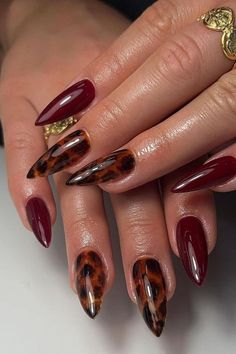 Maroon Nail Inspiration, Nail Designs Tortoise Shell, French Fancy Nails, French Tip And Full Nail, Red Nails With Tortoise Shell, Maroon Leopard Nails, Tortoiseshell Nail Art, Tortoise And Burgundy Nails, Tortie Shell Nails