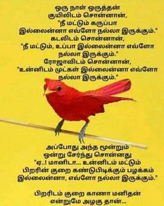 a red bird sitting on top of a wooden stick in front of a yellow background