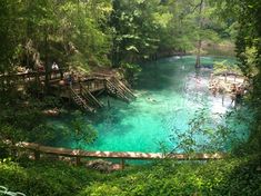 people are swimming in the blue water near a wooden bridge that is surrounded by greenery