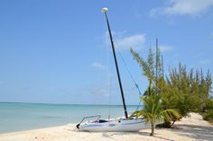 a small sailboat on the beach with palm trees in the foreground and clear blue water