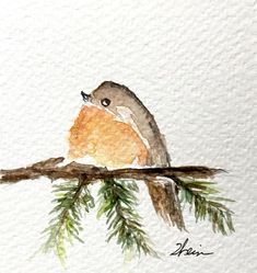 a watercolor painting of a bird sitting on a branch with pine needles in the foreground