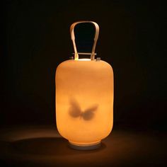 a light that has a butterfly on it