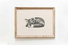 a drawing of a sleeping fox in a frame