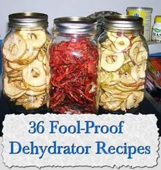 three mason jars filled with pickles and sliced apples in front of the text,'36 fool - proof delhydraator recipes '