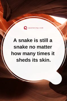 a quote about snake is still a snake no matter how many times it sheds its skin