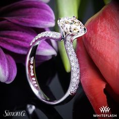 The Simon G TR431 Caviar Diamond Engagement Ring is part of the Caviar Collection. It is embellished with 72 round brilliant melee (G/H VS, 0.39 ctw) on ¾ of the shank and holds a 1.00ct center diamond. A classic timeless beauty that is sure to leave her breathless. Luxury Platinum Solitaire Diamond Ring, Luxury Ring With Center Stone In Classic Cut, Luxury White Diamond Ring With Round Stone, Luxury Diamond Ring Vvs Clarity Classic Cut, Luxury Diamond Ring With Vvs Clarity And Classic Cut, Luxury Vvs Clarity Classic Cut Diamond Ring, Luxury Solitaire Diamond Ring With Classic Cut, Luxury White Diamond Ring With Round Band, Exquisite Solitaire Round Cut Diamond Ring