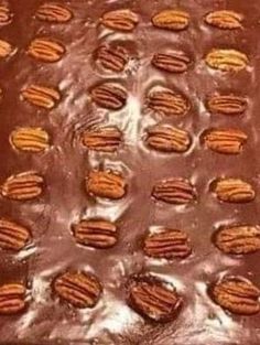 there are many pecans on top of the chocolate covered sheet cake in the pan