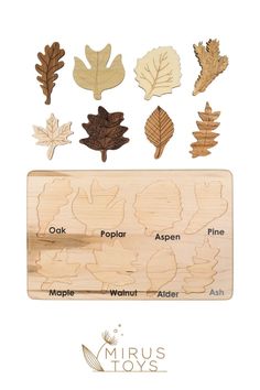 wooden cutouts with different types of leaves on them and the words maple, poplar, aspen, pine, maple, wam - alder