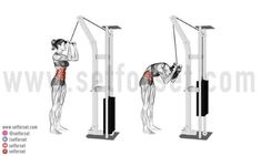 an image of a woman doing pull ups on the exercise equipment in front of a white background