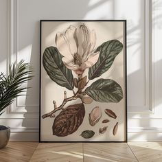 a white flower with green leaves and nuts on a wooden floor next to a potted plant