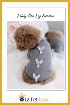 a small dog wearing a sweater with bows