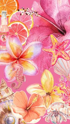 a painting of flowers, oranges, and other things on a pink background with watercolor