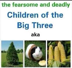 a poster with pictures of animals and plants in the background that says children of the big three aka