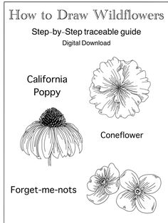 how to draw wildflowers step - by - step traceable guide for digital