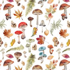 watercolor mushrooms and leaves on a white background