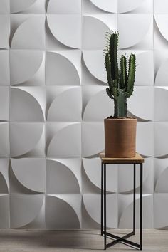 a potted plant sitting on top of a wooden table next to a white wall