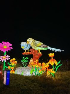 two birds are perched on top of flowers in the grass at night with bright lights