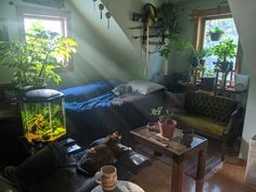 a living room filled with furniture and lots of plants