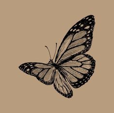 a black and white butterfly flying in the air with its wings spread out, on a brown