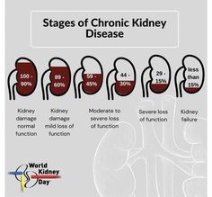 Healthy Kidneys