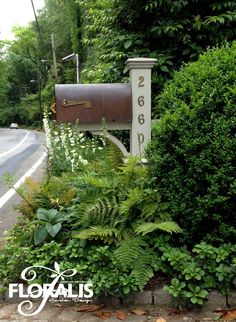 a mailbox in the middle of some bushes