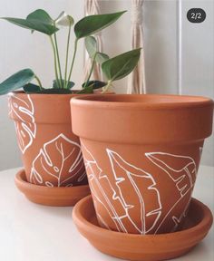 two clay pots with plants in them sitting on a table