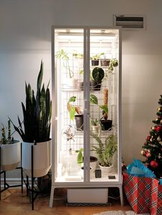 a refrigerator filled with plants next to a christmas tree