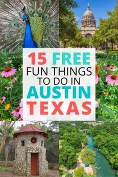 the texas state with flowers and trees in it is featured for free fun things to do